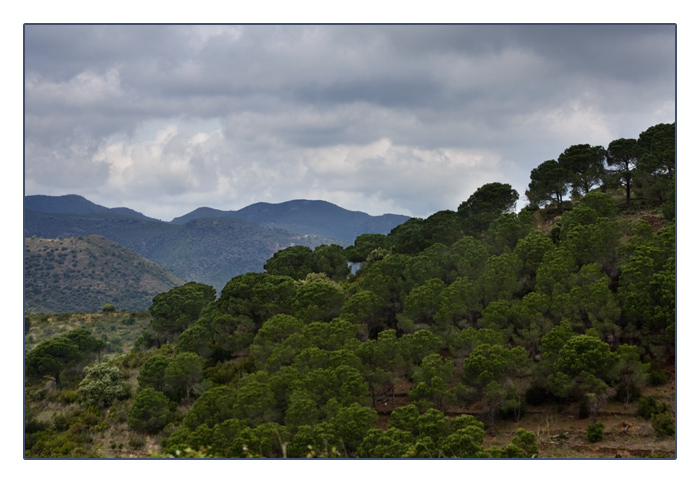 Landschaft bei Llançà an der Costa Brava