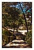 viele Treppen führen zum Strand in Cala Llevadó, Tossa de Mar