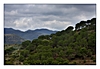 Landschaft bei Llançà, Cap Creus, Costa Brava