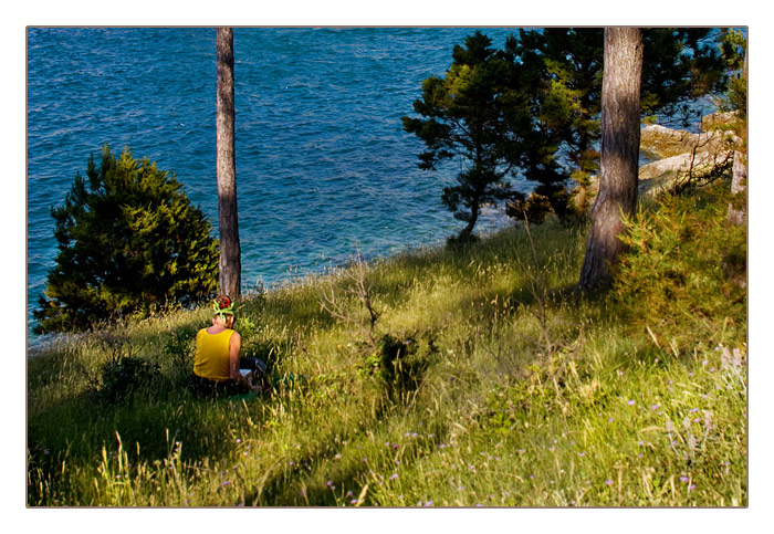 ein kleiner Wald bei Osor im Abendlicht, am Kanal zwischen der Insel Cres und Lošinj (Losinj)