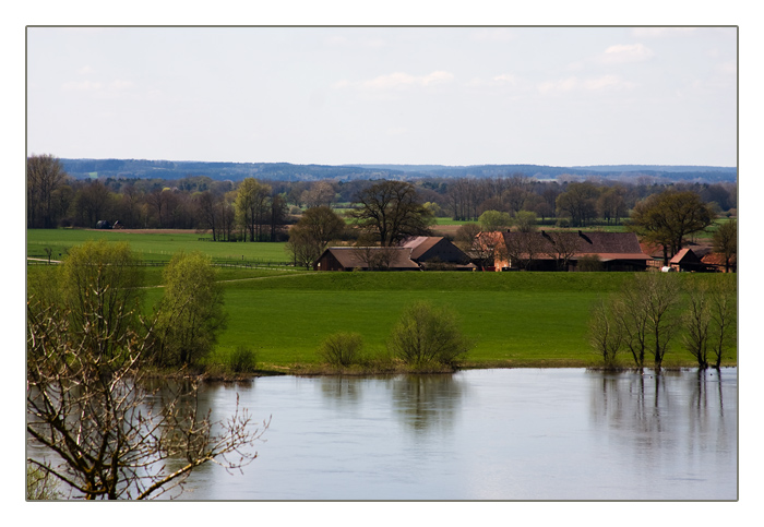 die Elbauen bei Rüterberg