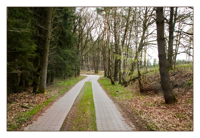 Landstrasse bei Platschow