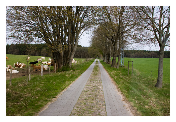 Landstrasse bei Platschow