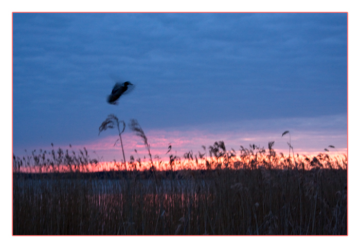 Sonnenuntergang am Plauer See, Mecklenburg vor Pommern