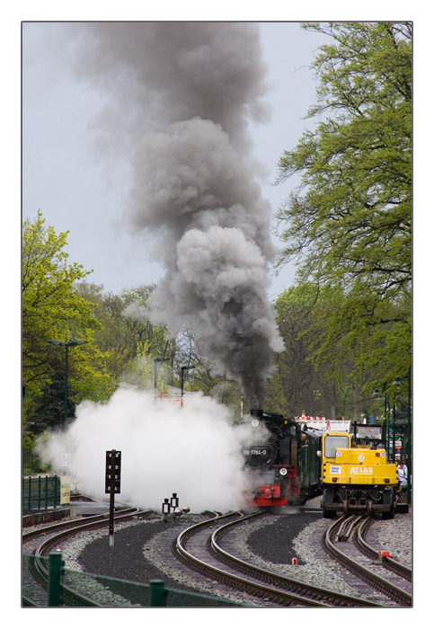 Dampf-Lokomotive Rasender Roland, Baujahr 1953, in Göhren, Insel Rügen