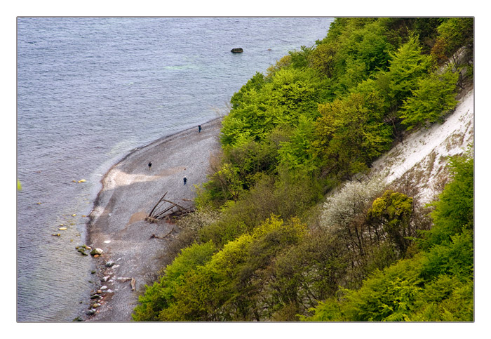 Kreidefelsen Königstuhl, Nationalpark Jasmund auf Rügen