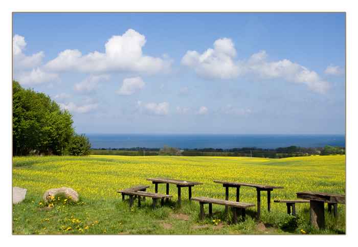 Landschaft bei Putgarten, Kap Arkona, Insel Rügen