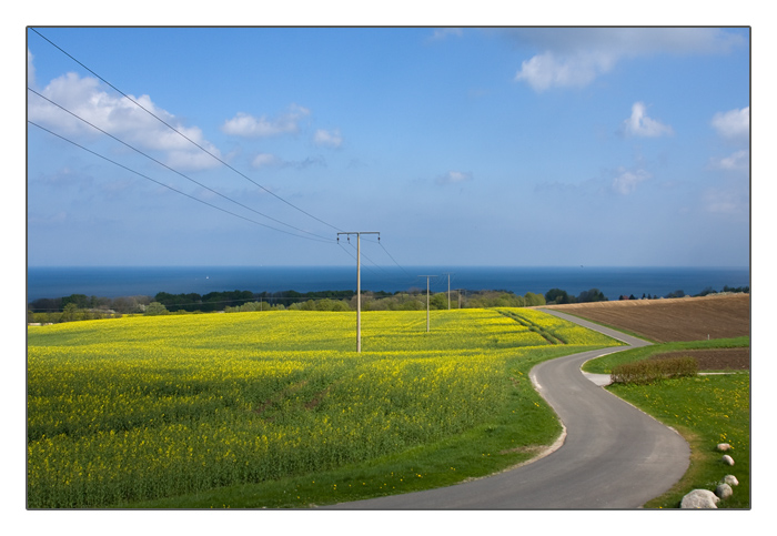 Landschaft bei Putgarten, Kap Arkona, Insel Rügen