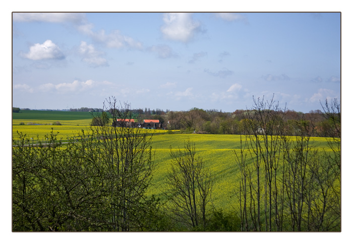 Landschaft am Kap Arkona, Insel Rügen