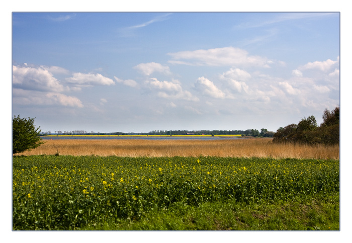 Landschaft am Kap Arkona, Insel Rügen