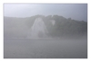 Kreidefelsen auf Rügen im Nebel