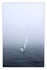 Segelschiff auf der Ostsee im Nebel