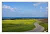 Landschaft bei Putgarten, Kap Arkona, Insel Rügen