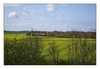 Landschaft am Kap Arkona, Insel Rügen