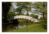 die weisse Brücke im Wörlitzer Park