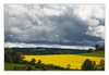 interessanter Himmel mit Rapsfelder auf der Heimfahrt