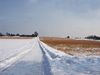 Winterfelder bei Oberensingen