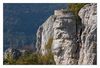 Kletterfelsen mit Kletterer an der Ruine Reussenstein auf der schwäbischen Alb