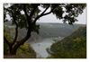 Blick von der Loreley auf den Rhein