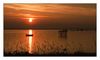 Sonnenuntergang, Bodensee