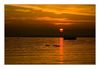 Sonnenuntergang, Bodensee