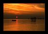 Sonnenuntergang, Bodensee
