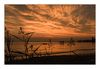 Sonnenuntergang, Bodensee
