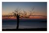 Sonnenaufgang an der Cote d'Azur (Saint Clair, Frankreich)