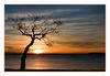 Sonnenaufgang an der Cote d'Azur (Saint Clair, Frankreich)
