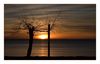 Sonnenaufgang an der Cote d'Azur (Saint Clair, Frankreich)
