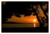 Sonnenuntergang am Strand von Zablace/Sibenik (Kroatien/Dalmatien)
