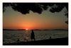 Sonnenuntergang am Strand von Zablace/Sibenik (Kroatien/Dalmatien)