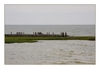 am Strand des Ijsselmeeres, Molkwerum bei Koudum