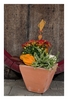 Herbstblumenschmuck