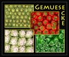 Gem&uuml;se-Impressioen