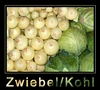 Zwiebel und Kohl