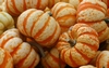 Kürbisse (Sweet Dumpling)