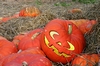Kürbisse (Halloween-Kürbis)
