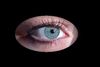 Steffi's Auge