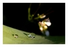 Wassertropfen