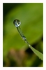 Wassertropfen