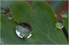 Wassertropfen