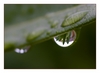 Wassertropfen