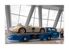 Mercedes-Benz 300 SLR, Gewinner des World Championship for Sportcars 1955