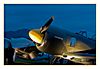 Yakovlev YAK 11 R2000 N11MQ bei Nacht im Scheinwerferlicht vor der Burg Teck