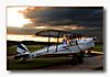 Stampe SV4 - D-EBSH