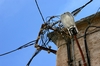 Elektroinstallation Kroatien