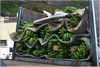 zur Abfahrt bereit. Bananentransport in el Caleton, Garachico