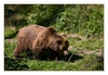 ah, es riecht da so angenehm......