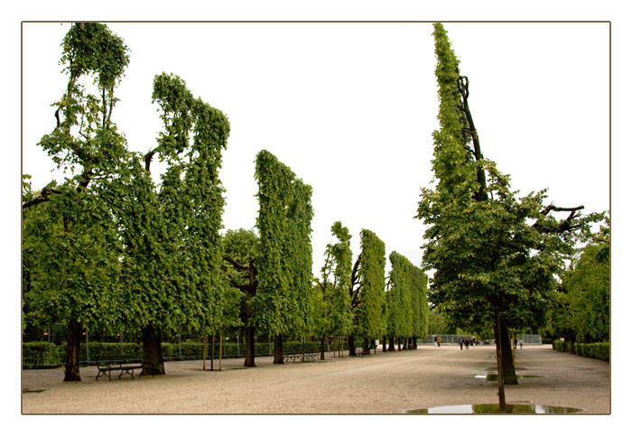 im Schlossgarten Schönbrunn, Wien